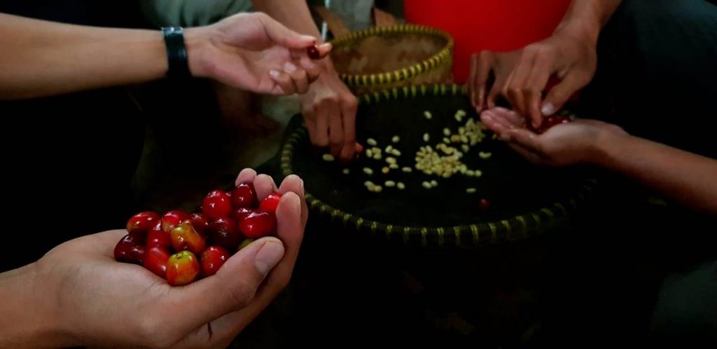 Galleri: Piknik Kopi bersama Sunda Hejo