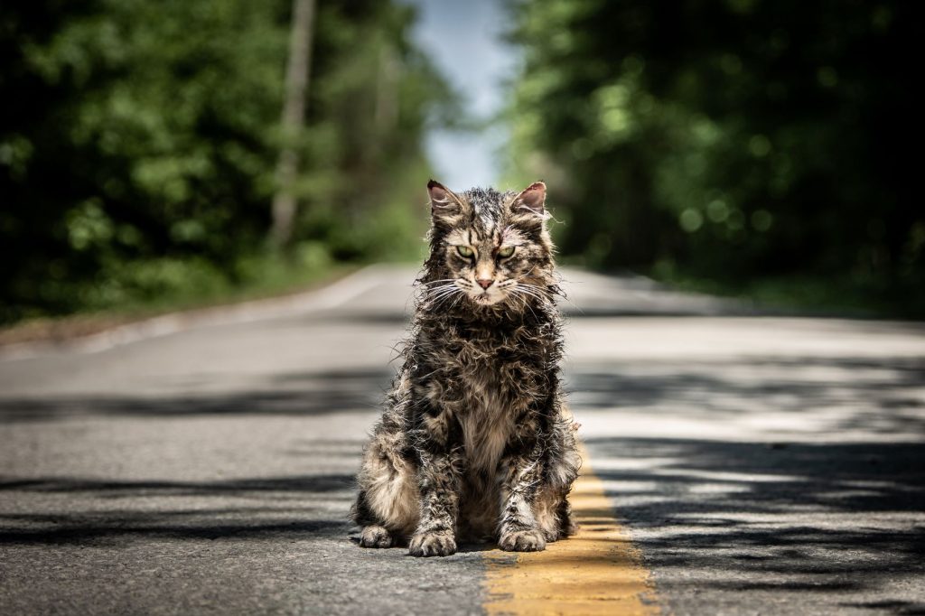 Cinematografi Tak Terduga pada Pet Sematary