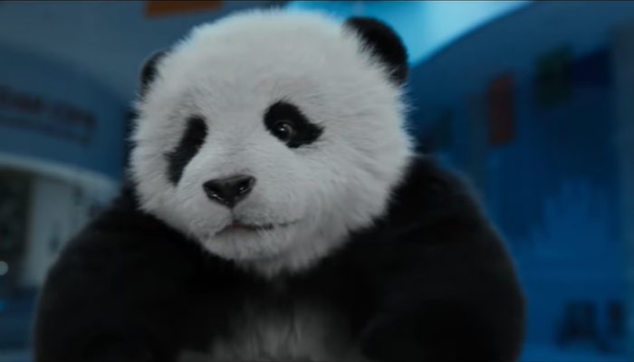 Review: Panda Plan, Kembalinya Film yang Jackie Chan Banget