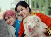 Review: Gohan, Film Yang Menawarkan Emosional Persahabatan Anjing dan Manusia