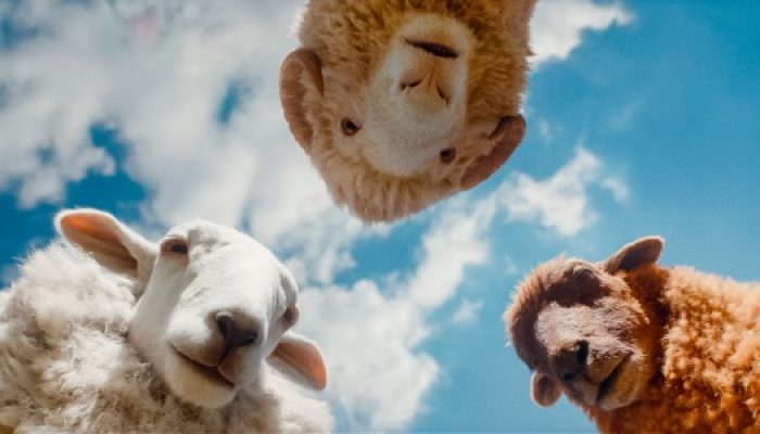 Review: The Sheep Detectives, Live-Action Yang Kental Dengan Sentuhan Dunia Novel
